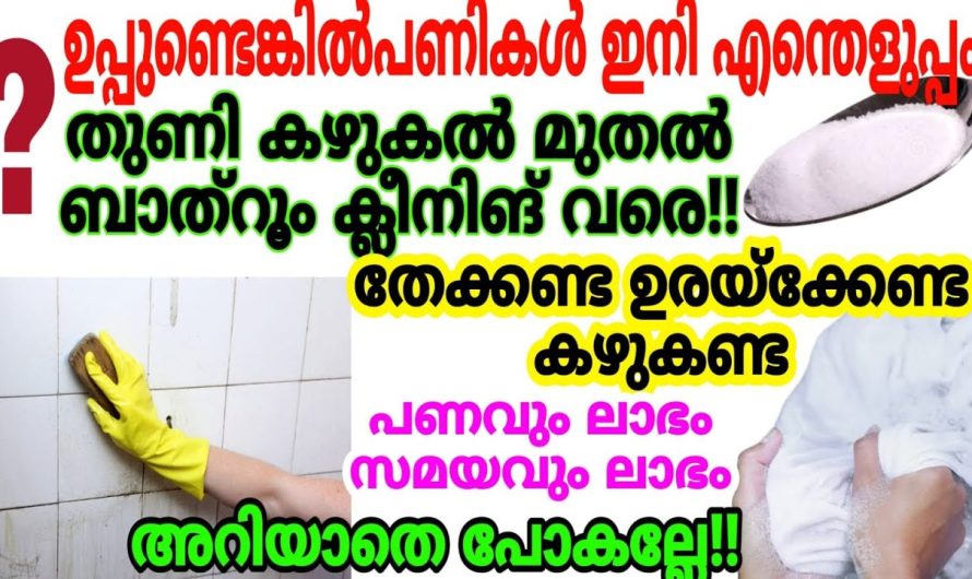 ഇനി മാസങ്ങളോളം ക്ലോസറ്റ് കഴുകുക പോലും വേണ്ട