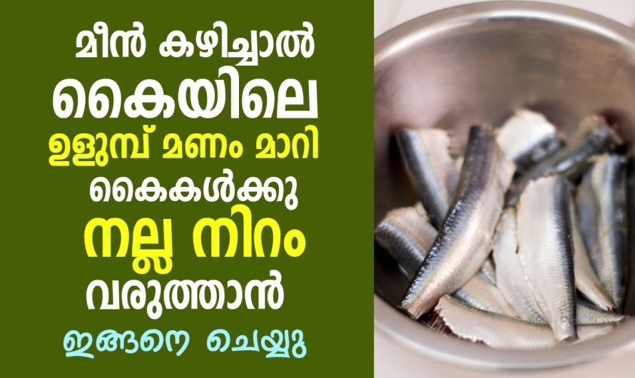 ഇനി എത്ര മീൻ മുറിച്ചാലും കയ്യിൽ ഒരു തരി മണം കാണില്ല