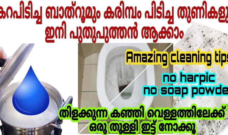 കറപിടിച്ച ബാത്റൂം ഇനി പുതുപുത്തൻ ആക്കാൻ  ഇത് മാത്രം മതി