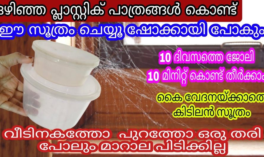 ആയിരങ്ങൾ വിലയുള്ളത് ഇങ്ങനെ ഉണ്ടാക്കാനാകുമെന്ന് നിങ്ങൾക്കറിയുമോ