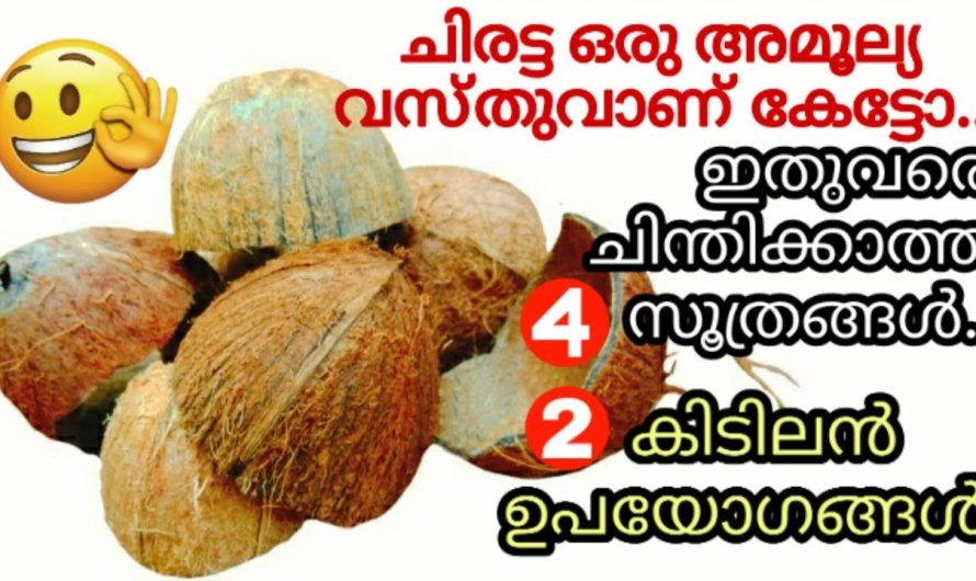 അറിയാതെപോലും ഇനി ഇത് വെറുതെ കളയരുതേ