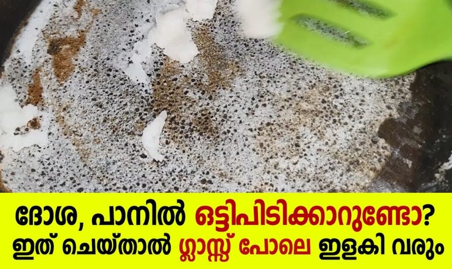 പെയിന്റ് പോയ നോൺസ്റ്റിക്കിലും ഇനി ഈസിയായി ദോശ ഉണ്ടാക്കാം