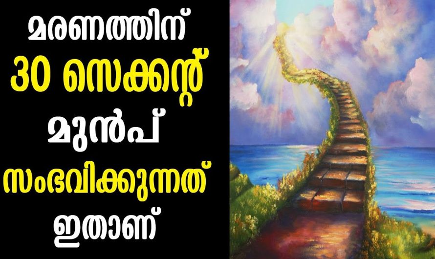 മരണത്തിന് സെക്കന്റുകൾക്ക് മുമ്പ് ശരീരത്തിൽ സംഭവിക്കുന്നത് ഇതാണ്