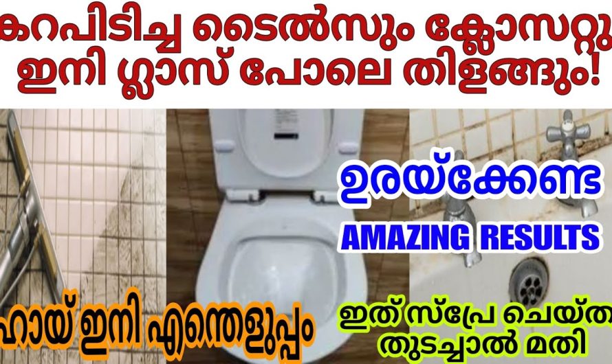 ഇതൊരെണ്ണം ഉണ്ടെങ്കിൽ ഇനി ക്ലീനിങ് വളരെ ഈസി ആണ്