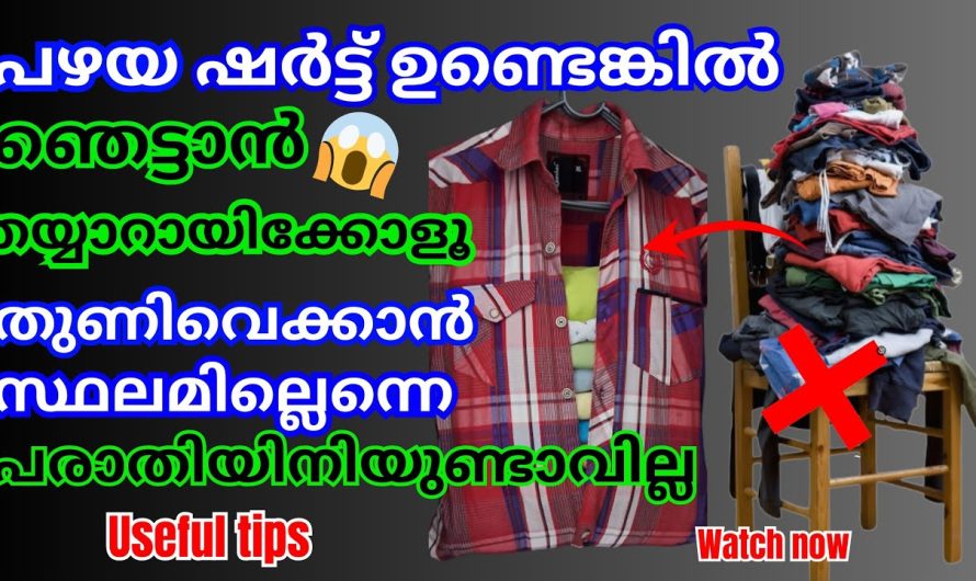 ഈ ഒരൊറ്റ ഷർട്ട് ഇനി ഒരു അലമാരയ്ക്ക് പകരം ആകുന്നു