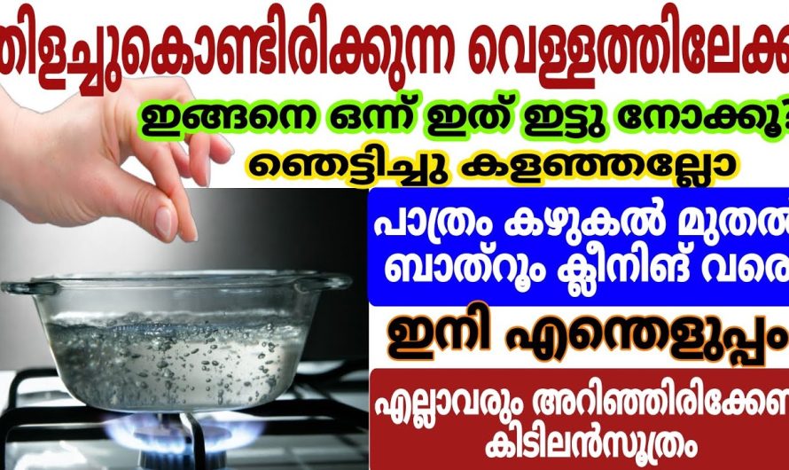 ഇനി അടുക്കളയിലേക്ക് കയറുമ്പോഴേ കിട്ടും ആ പോസിറ്റീവ് എനർജി