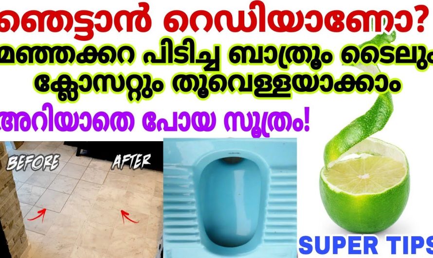 ഒട്ടും ബുദ്ധിമുട്ടില്ലാതെ വീട് ഒന്നും മിനുങ്ങി കിട്ടിയാൽ വിഷമം ഉണ്ടോ, ഇതിലും ലാഭമുള്ള പരിപാടി വേറെയില്ല