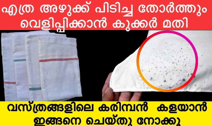 പ്രഷർകുക്കർ ഉണ്ടെങ്കിൽ ഇനി എത്ര വലിയ കരിമ്പനും നിസ്സാരമാണ്