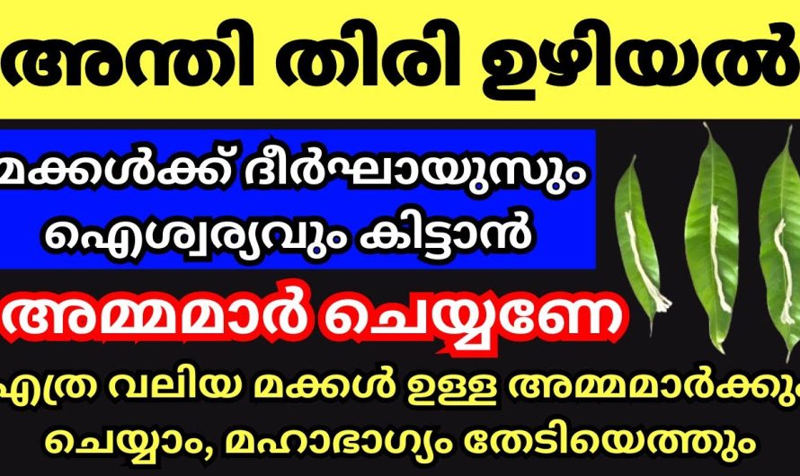 നിങ്ങളും ആഗ്രഹിക്കുന്നത് ഇതാണ് മക്കളുടെ ഉയർച്ച ഇനി വളരെ എളുപ്പം