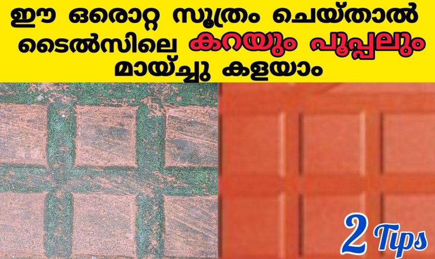 ഇനി എത്ര കട്ടിപിടിച്ച അഴുക്കും വഴുവഴുപ്പും നിസാരമായി പോകും