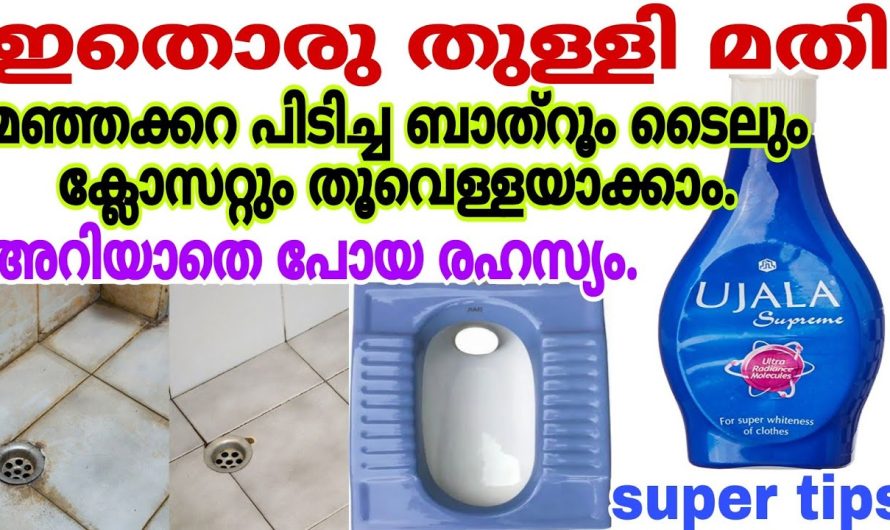 വീട്ടിലെ സ്ത്രീകൾക്ക് ഇനി കഷ്ടപ്പെടേണ്ടതില്ല ഇങ്ങനെയുള്ള കാര്യങ്ങൾ ചെയ്താൽ ഇനി വീട്ടുജോലികൾ എളുപ്പം