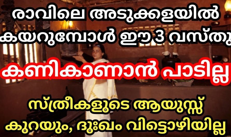 നിങ്ങളും രാവിലെ ഇത് കണി കണ്ടുകൊണ്ടാണോ അടുക്കളയിലേക്ക് കയറുന്നത്