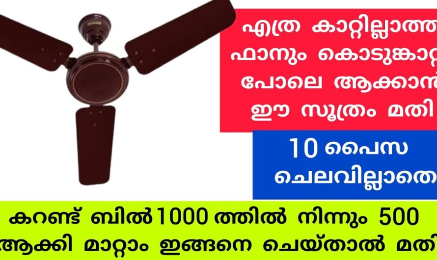 ഇങ്ങനെ ചെയ്താൽ ഇനി ഫാനിന്റെ കാറ്റ് ഇരട്ടി സ്പീഡിൽ ആകും