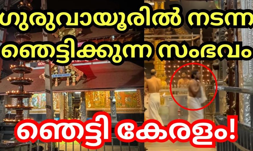 ഗുരുവായൂർ നടയിൽ അമ്മയെ സഹായിച്ച ഉണ്ണിക്കണ്ണനെ കുറിച്ച് അറിയാം