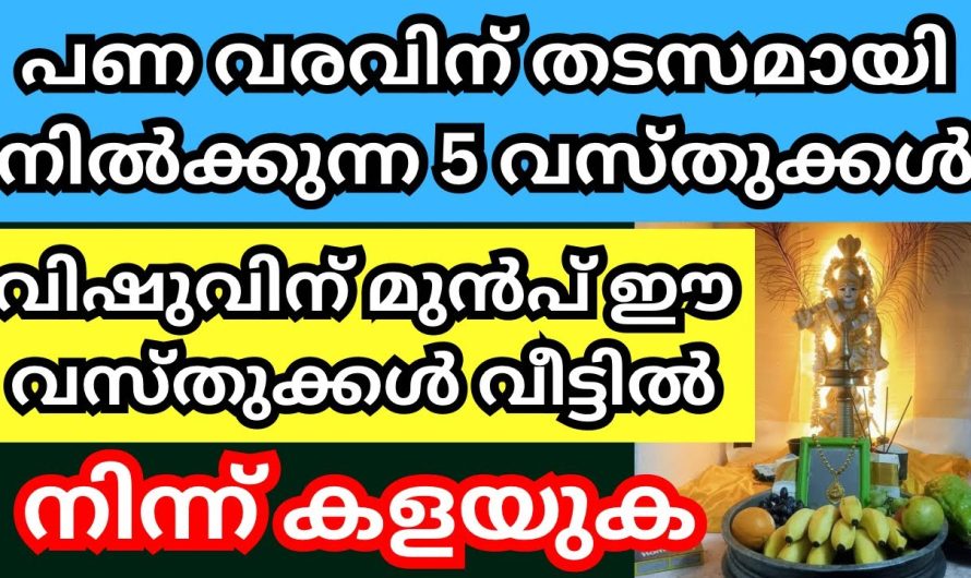 വിഷുവിന് മുമ്പായി നിങ്ങൾ തീർച്ചയായും ചെയ്യേണ്ട ചില കാര്യങ്ങൾ ഈ പറയുന്നവയാണ് ധനം കുമിഞ്ഞു കൂടാൻ ഇത് മാത്രം മതി