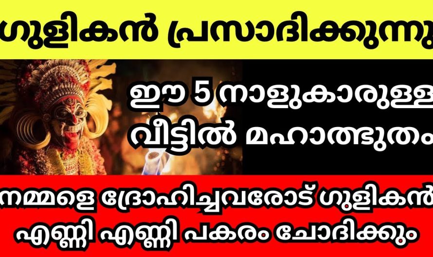 ഗുളികന്റെ അനുഗ്രഹവും നിഗ്രഹവും നിങ്ങൾ അനുഭവിച്ചിട്ടുണ്ടോ, നിങ്ങൾക്ക് ഇതിനെക്കുറിച്ച് അറിവുണ്ടോ