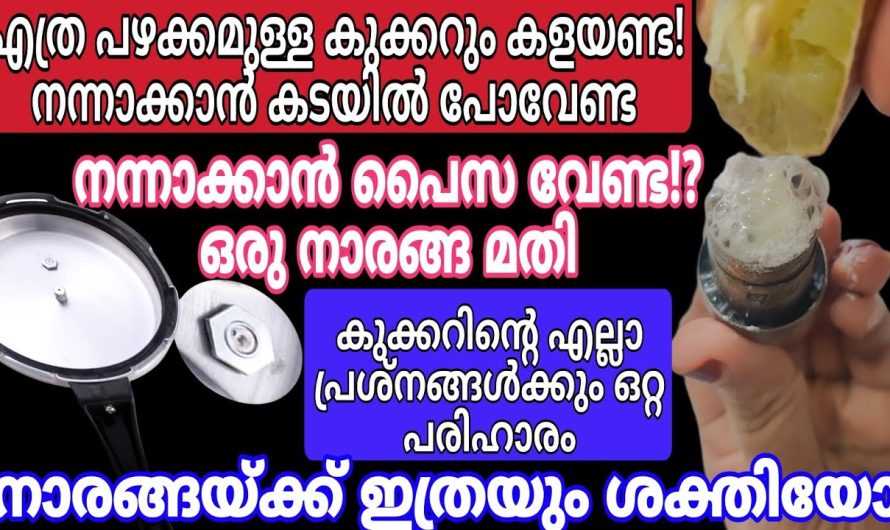 ഇങ്ങനെ ചെയ്താൽ ഇനി പത്തുവർഷം ഉപയോഗിക്കുന്നത് 40 വർഷം വരെ ഉപയോഗിക്കാം