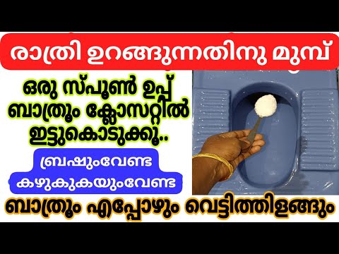 ബാത്റൂമും ക്ലോസറ്റും  വൃത്തിയാക്കാൻ നിമിഷങ്ങൾ മതി