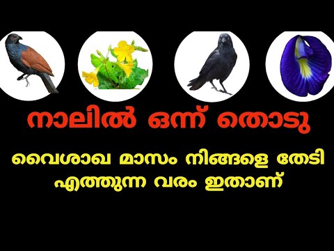 ആഗ്രഹിച്ചതെല്ലാം നടക്കുമോ എന്നറിയാൻ ഇനി കാത്തിരിക്കേണ്ട കാര്യമില്ല