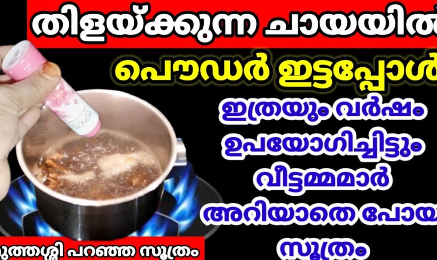 ഇത്തിരി കുഞ്ഞിനെ പോലും ഇനി പെട്ടെന്ന് തുരത്താം