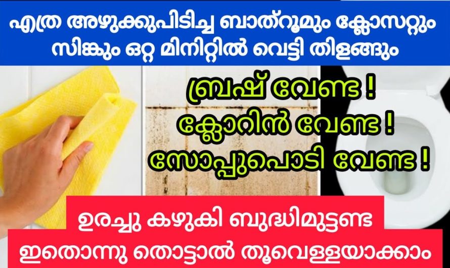 പഴയ ദോശമാവും പഴയ സോപ്പും ചേർന്നാൽ സംഭവിക്കുന്നത്