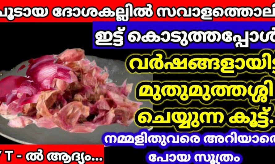 നിസാരം എന്ന് നിങ്ങൾ കരുതുന്ന ഇതിനെക്കുറിച്ച് ഇത്രയും കാര്യങ്ങളോ