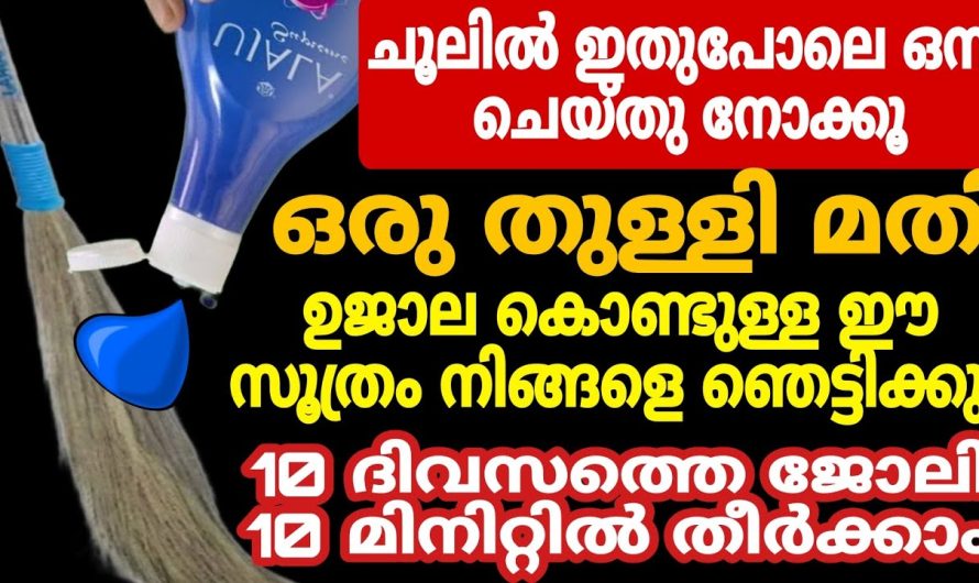 ഇനി തുണികൾ മാത്രമല്ല ഇതുകൊണ്ട് തിളങ്ങാൻ പോകുന്നത് മറ്റ് പലതും