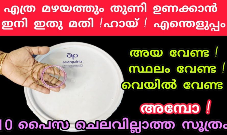 നിങ്ങൾ ഒരിക്കലും ചിന്തിക്കാത്ത ഒരു കാര്യം ഒരു ബക്കറ്റിന് മൂടി കൊണ്ട് ഇങ്ങനെയും ചെയ്യാമോ