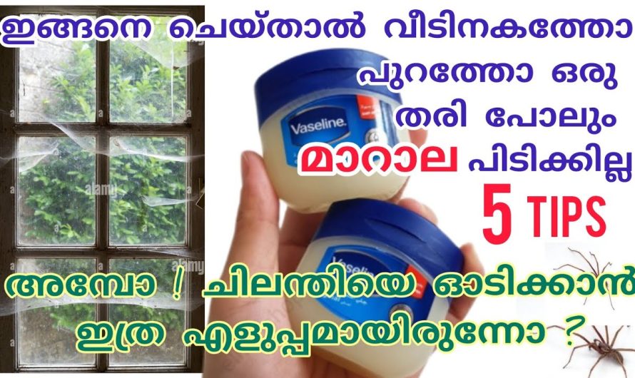 മാറാലയില്ലാത്ത ഒരു വീട് നിങ്ങളും സ്വപ്നം കാണുന്നുണ്ടോ