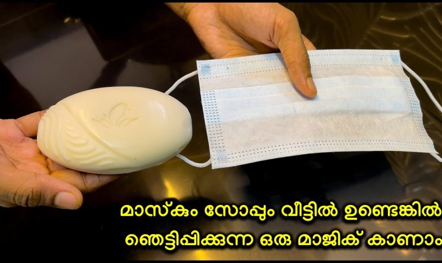 തീ കത്തിക്കാതെ അടുപ്പു കത്തിക്കാതെ എളുപ്പത്തിൽ ഒരു കറി ഉണ്ടാക്കിയാലോ