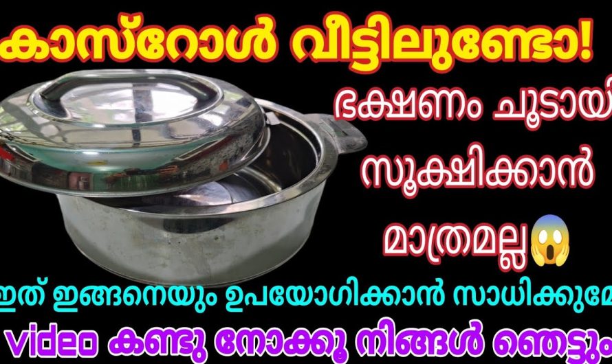 കാസറോൾ ഉണ്ടായിട്ടും ഇത് അറിഞ്ഞില്ലെങ്കിൽ തീരാനഷ്ടം ആയിരിക്കും