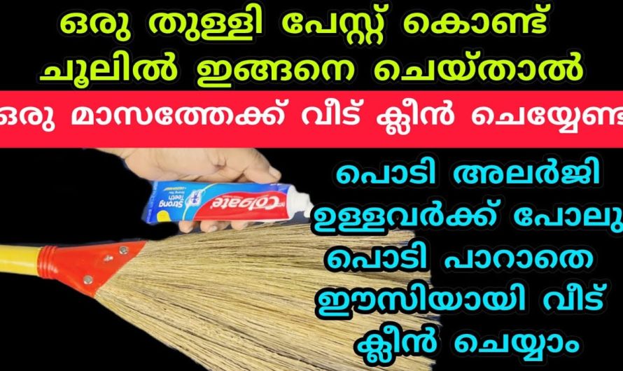 കയ്യെത്താത്തിടത്തും ഇനി ഒരു തരി പൊടിപാറാതെ വൃത്തിയാക്കാം