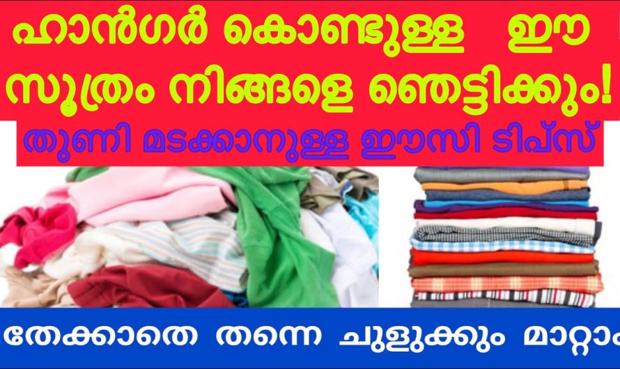 ഇനി തേക്കാൻ ഒന്നും സമയം കളയണ്ട ഒറ്റ ചുളിവില്ലാതെ നിങ്ങൾക്കും ഇത് ധരിക്കാം