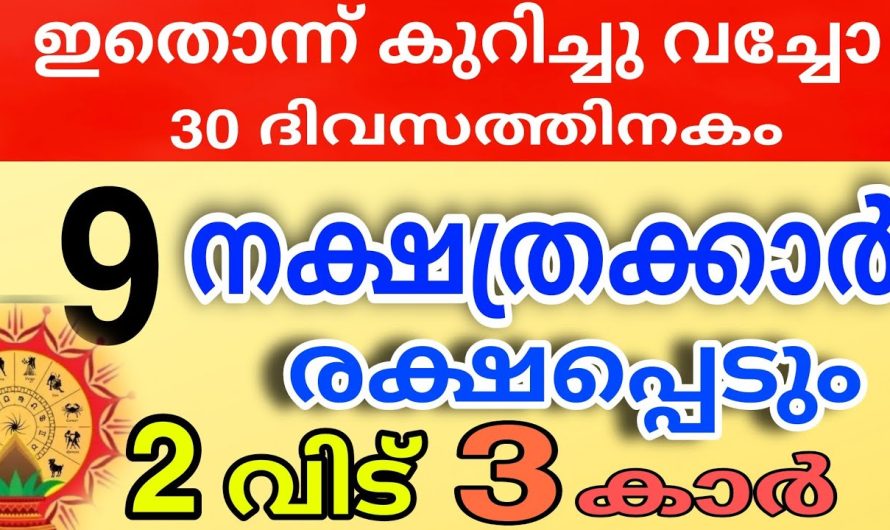 ഇത്രയും ഭാഗ്യമുള്ളവർ വീട്ടിൽ ഉണ്ടെങ്കിൽ പിന്നെ എന്തിന് തേടി അലയണം