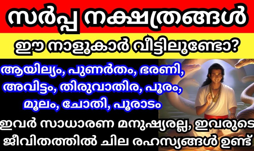 നിങ്ങളുടെ നക്ഷത്രം ഈ പറയുന്ന നക്ഷത്രമാണോ എന്നാൽ തീർച്ചയായും നിങ്ങൾക്ക് വളരെ ഭാഗ്യമുണ്ട് എന്ന് വേണമെങ്കിൽ പറയാം