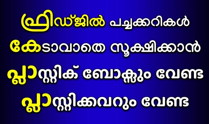 ഇനി നിങ്ങളുടെ ഫ്രിഡ്ജിനകത്ത് എത്ര കാലം വേണമെങ്കിലും പച്ചക്കറി കേടുകൂടാതിരിക്കും