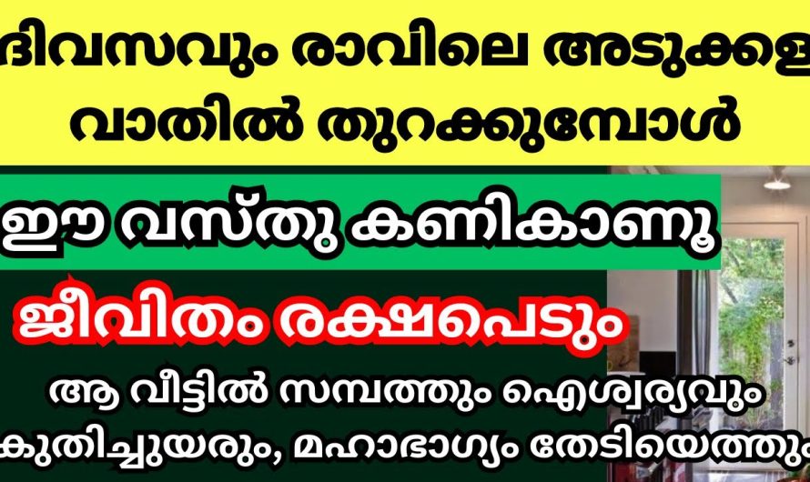 ഇനി ഇത് കണ്ടുകൊണ്ട് നിങ്ങളുടെ ജീവിതം തന്നെ സുഖകരം