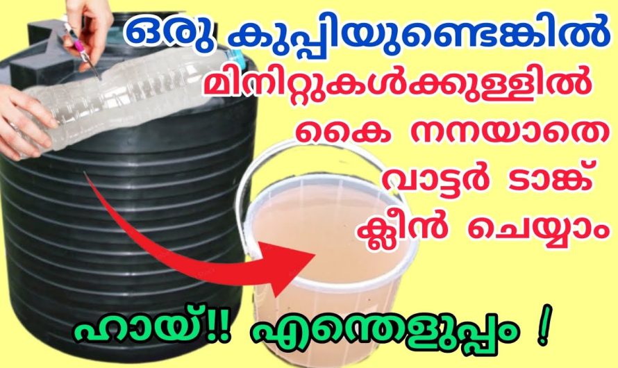 ഒരു കുപ്പി ഉണ്ടെങ്കിൽ ഇനി വെള്ളം  അനങ്ങാതെ ടാങ്ക് കഴുകാം