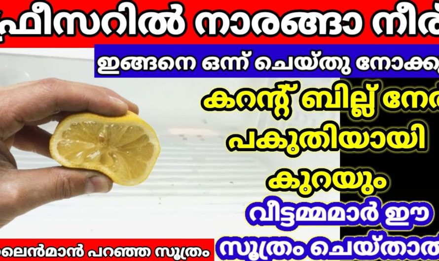 ഇനി കറണ്ട് ബില്ല് നേർപകുതി ആകാൻ ഇതുതന്നെ വഴി