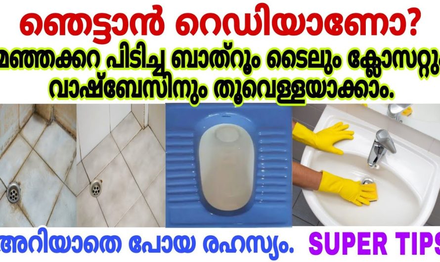 ഇനി ബാത്രൂം ക്ലീനിങ് വളരെ ഈസി, നിങ്ങളുടെ ജോലി കഴിയും എളുപ്പം