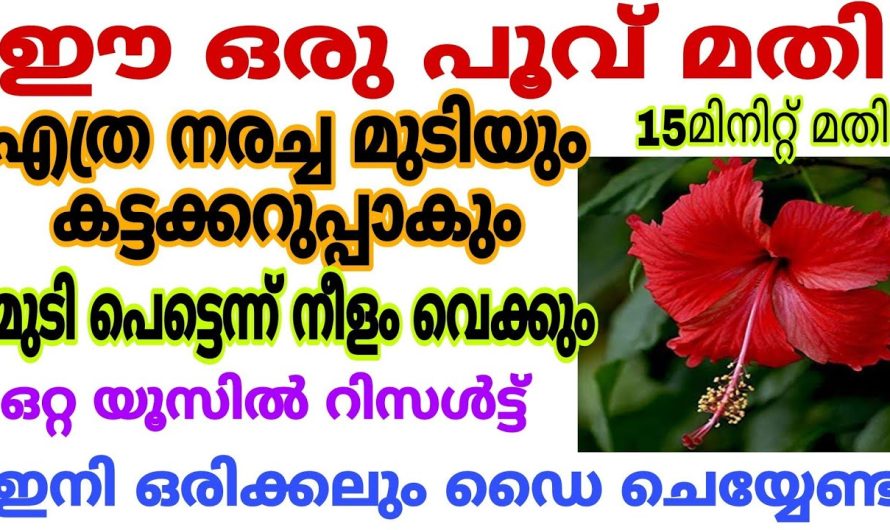 ഇനി ഒരിക്കലും നരക്കില്ല പോയ നര തിരിച്ചുവരില്ല