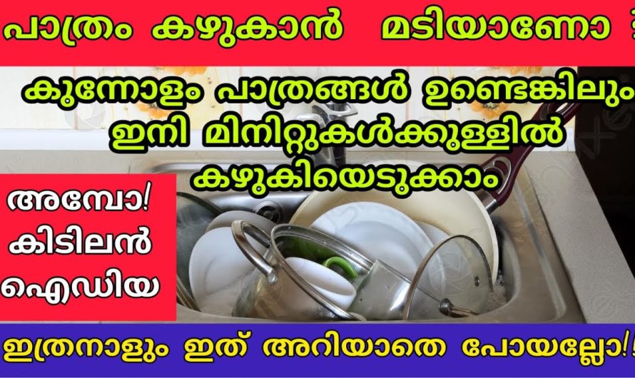 മഠിച്ചു നിൽക്കേണ്ട ഇനി പാത്രം കഴുകാൻ ഇതാ ഒരു എളുപ്പവഴി