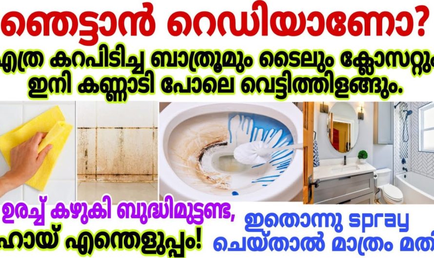 എത്ര വലിയ കറയും ഇത് ഉണ്ട് എങ്കിൽ ഇനി നിസ്സാരമാണ്