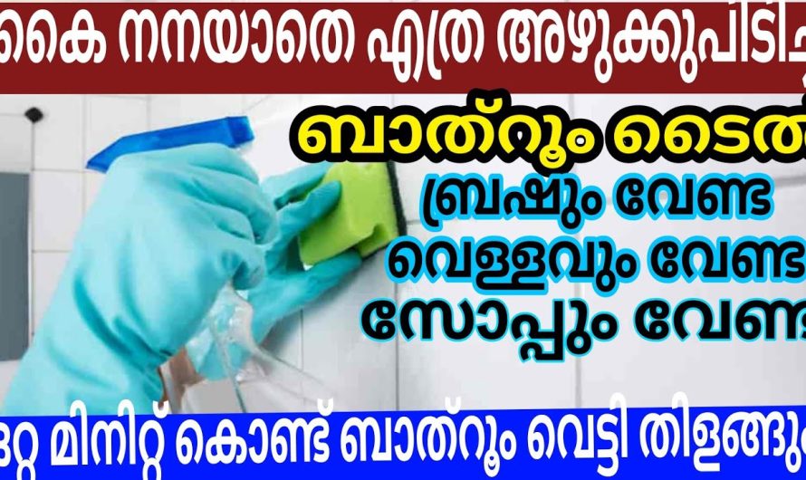 ഉരയ്ക്കാതെയും കഷ്ടപ്പെടാതെയും ബാത്റൂമിൽ ക്‌ളീനിംഗ് ആഗ്രഹിക്കുന്നവർ ഇതുതന്നെ ചെയ്യു