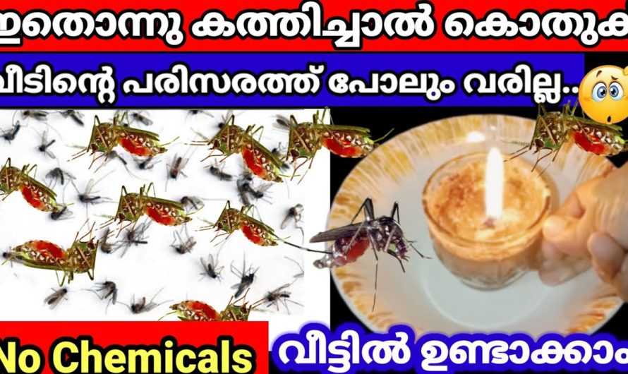 ഇനി മെഴുകുതിരിക്ക് അല്പം കാപ്പിപ്പൊടി പ്രയോഗം ആയാലോ