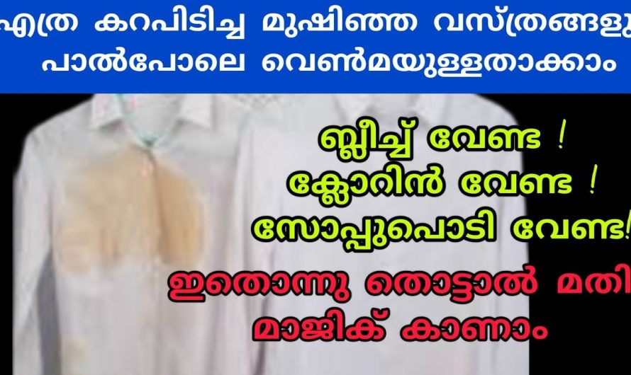 ഏത് വെളുത്ത ഡ്രസ്സിലെ കറയും നിമിഷങ്ങൾ കൊണ്ട് മാഞ്ഞുപോകും