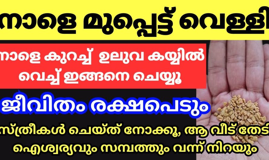 ജീവിതം രക്ഷപ്പെടാൻ പോകുന്നത് ഈ വെള്ളിയാഴ്ച തീരുമാനിക്കണം