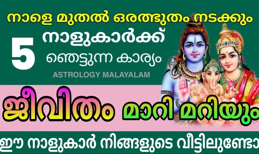 വെറും നേട്ടമല്ല ഇനി ഉണ്ടാകാൻ പോകുന്നത് ആയിരം ഇരട്ടി ലാഭമാണ്