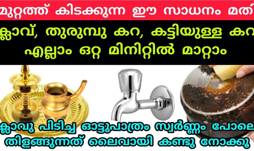 ഇതങ്ങനെ വെറുതെ തട്ടി പൊട്ടിച്ചു കളയല്ലേ