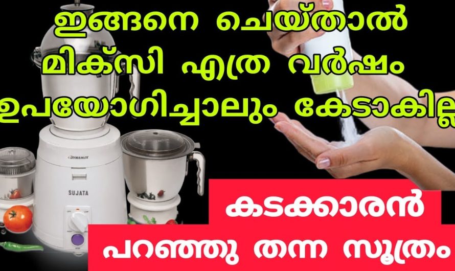 ഇതറിയാതെ ഇനി നിങ്ങൾ മിക്സി ഉപയോഗിച്ചാൽ വലിയ നഷ്ടം